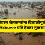 heavy-rains-nuksan-bharpai5061691286652127411.jpg
